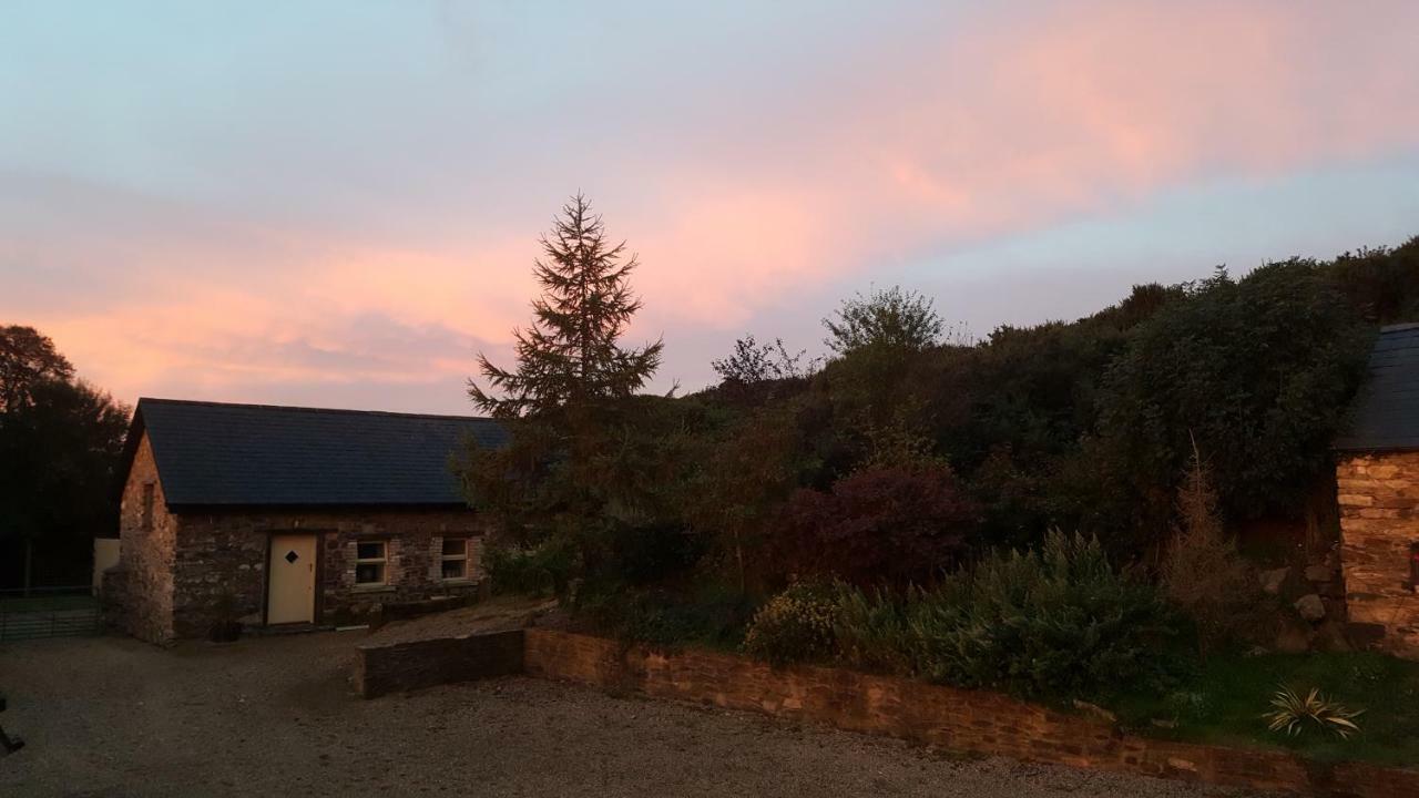 Tara Hill Estate Villa Gorey Dış mekan fotoğraf